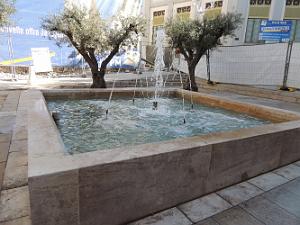 2020 02 22 EN FLANANT A TOULON COURS LAFAYETTE (70)